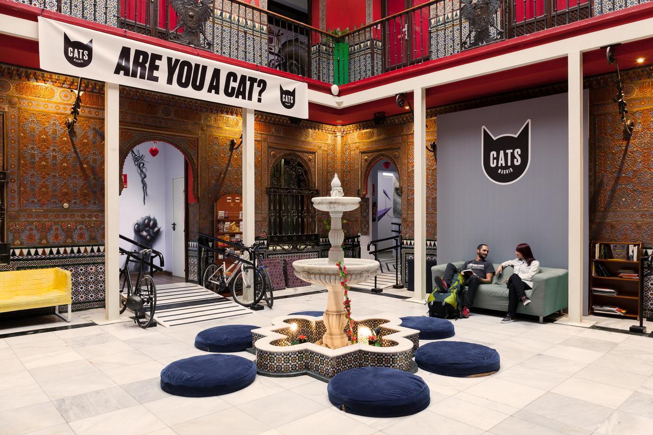 Cats Hostel Madrid Sol Luaran gambar